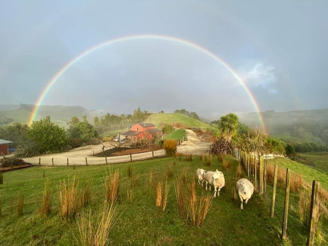 Nadarra Hideaway Panzió Otorohanga Kültér fotó